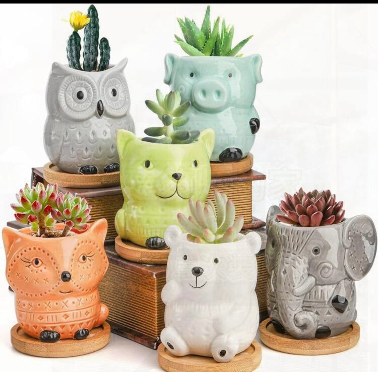 6 Pack Small Ceramic Succulent Planter W/Drainage & Bamboo Tray, Cute Animal Pots For Indoor Plants, Cactus, Garden, Home Decor